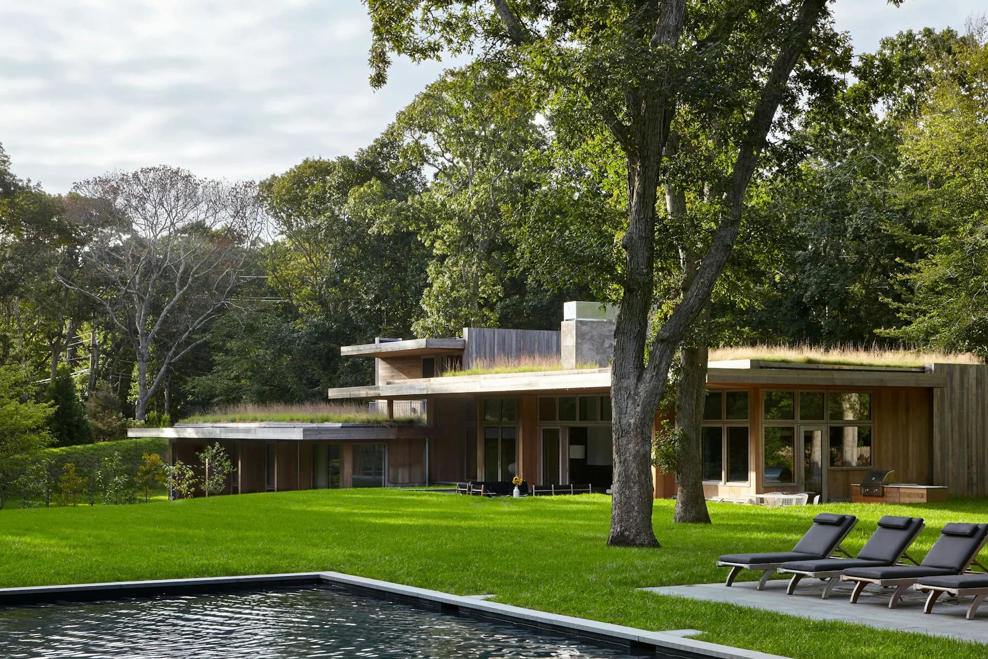 Modern residential architecture with horizontal lines, glass elements, and wood siding overlooking a lawn and pool, surrounded by mature trees, by Guerin Glass Architects.