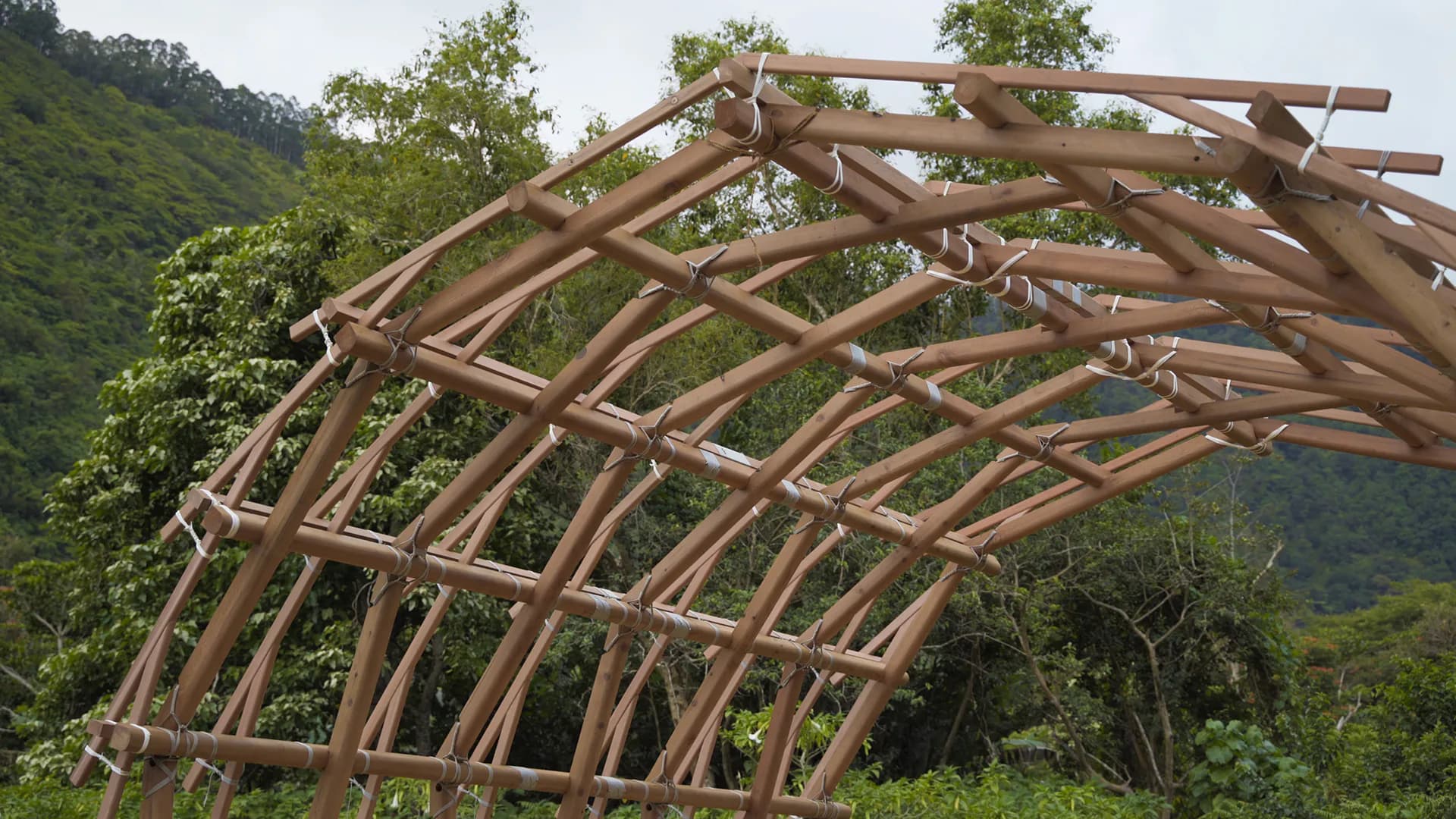 Curved wooden timber-frame structure with exposed beams set against lush green hillside landscape by Leong Leong.
