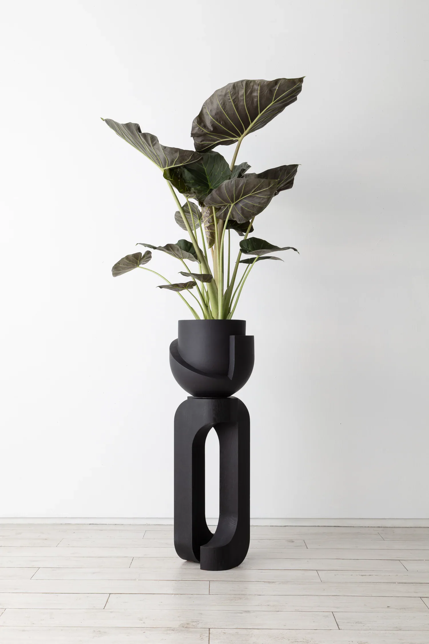 Black sculptural vase with organic void cutouts holds a potted plant with large dark green leaves against a white background by Light + Ladder.