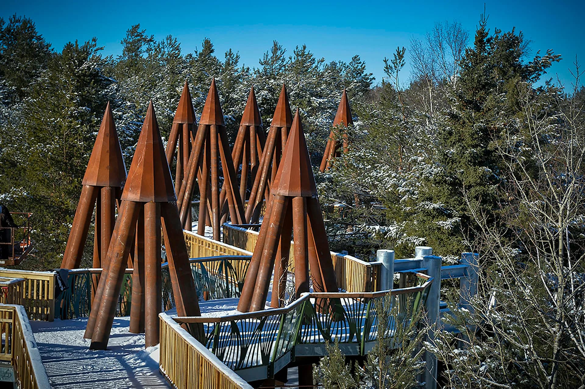 Sculptural timber installation with cone-shaped wooden elements on a wooden boardwalk overlook, surrounded by forest trees, by Linearscape.