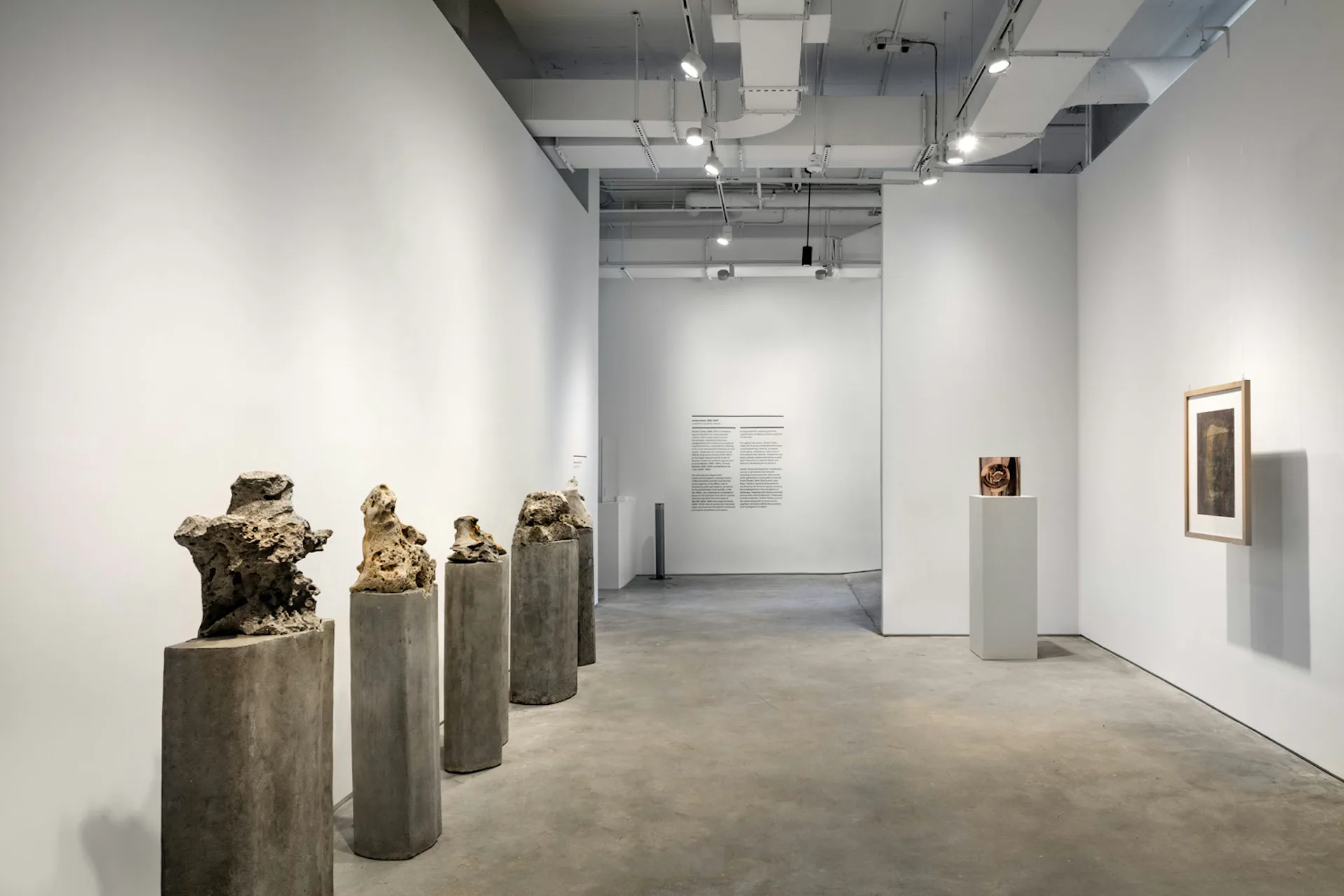 Contemporary gallery space with cylindrical concrete pedestals displaying gold sculptural forms, minimal white walls, and polished concrete flooring by Loci Architecture PLLC.