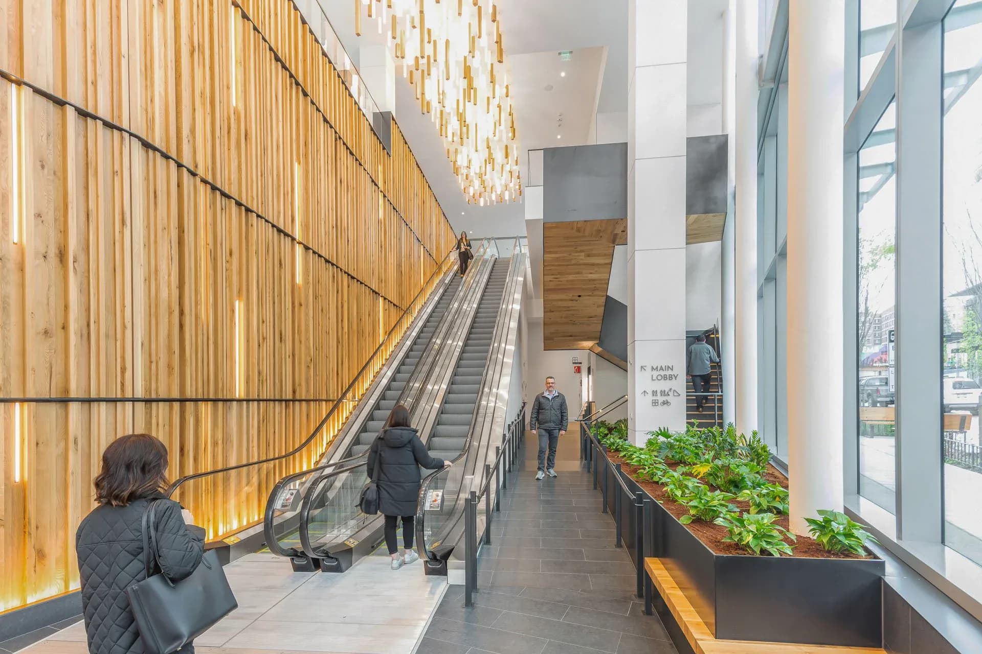 Modern commercial lobby with warm wood slat wall, elegant chandelier, escalator, and green planting boxes by Lux Collaborative.
