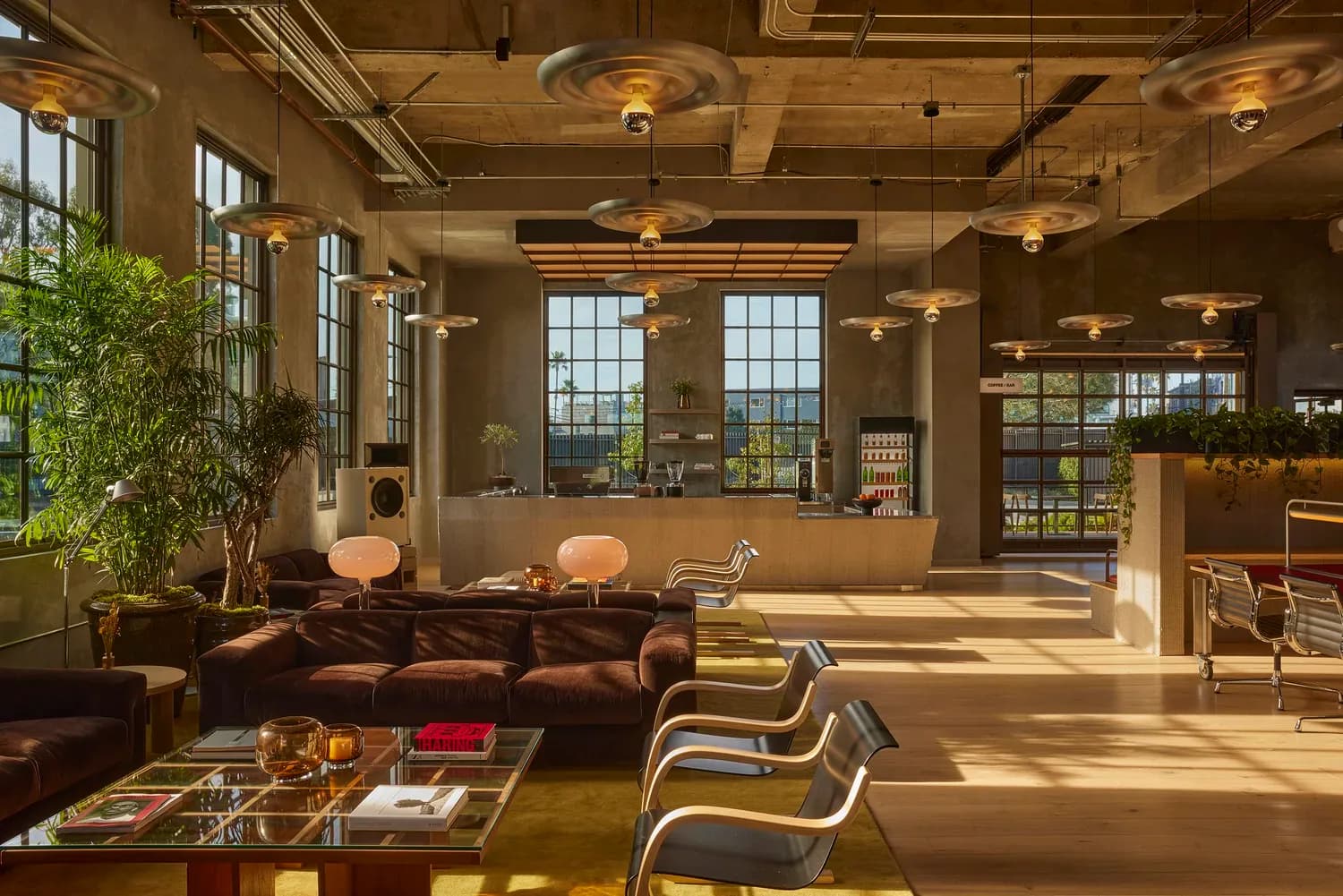 Sunlit loft interior with exposed ceiling, leather seating, large windows, natural plants, and mixed mid-century furnishings by Map Design Studio.