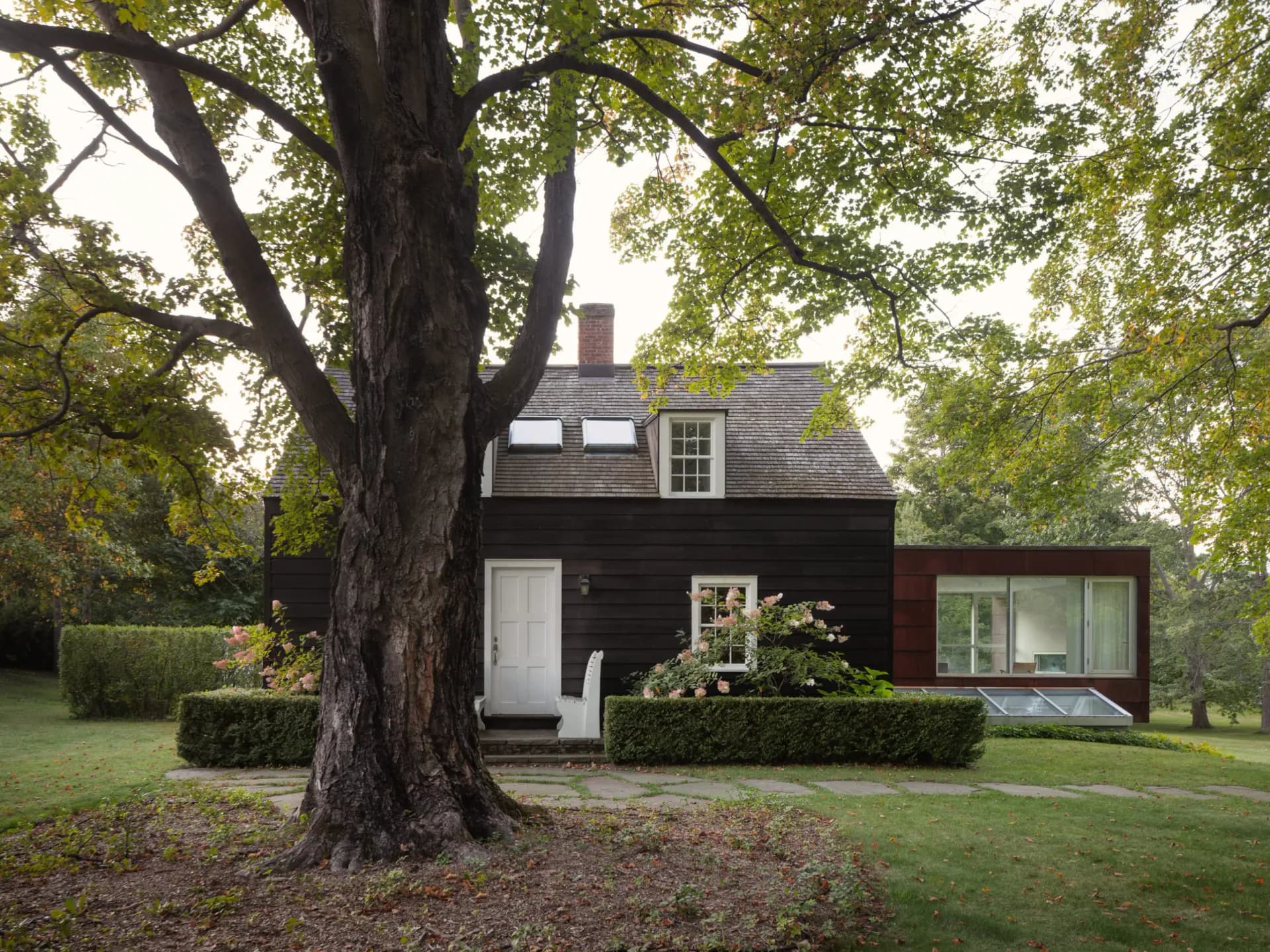 Dark-clad residential house with modern glass extension nestled beneath mature tree, featuring clean lines and integrated landscape design by Messana O'Rorke.