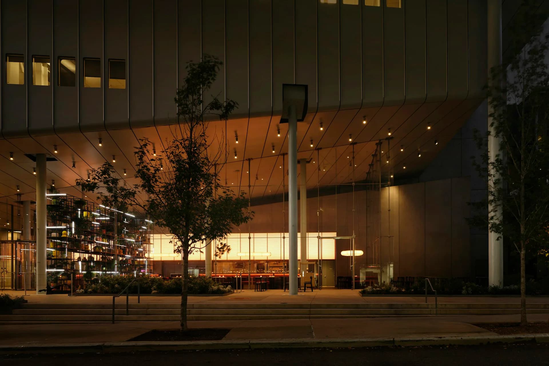 Nighttime exterior of a modern retail storefront with warm ambient lighting, wooden ceiling details, and potted greenery flanking the entrance by Modellus Novus.