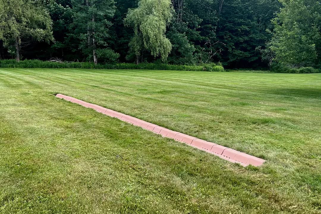 A manicured lawn with parallel mowed stripes and a long pink/red sculptural element running diagonally across the grass, backed by dense forest by Powerhouse Arts.