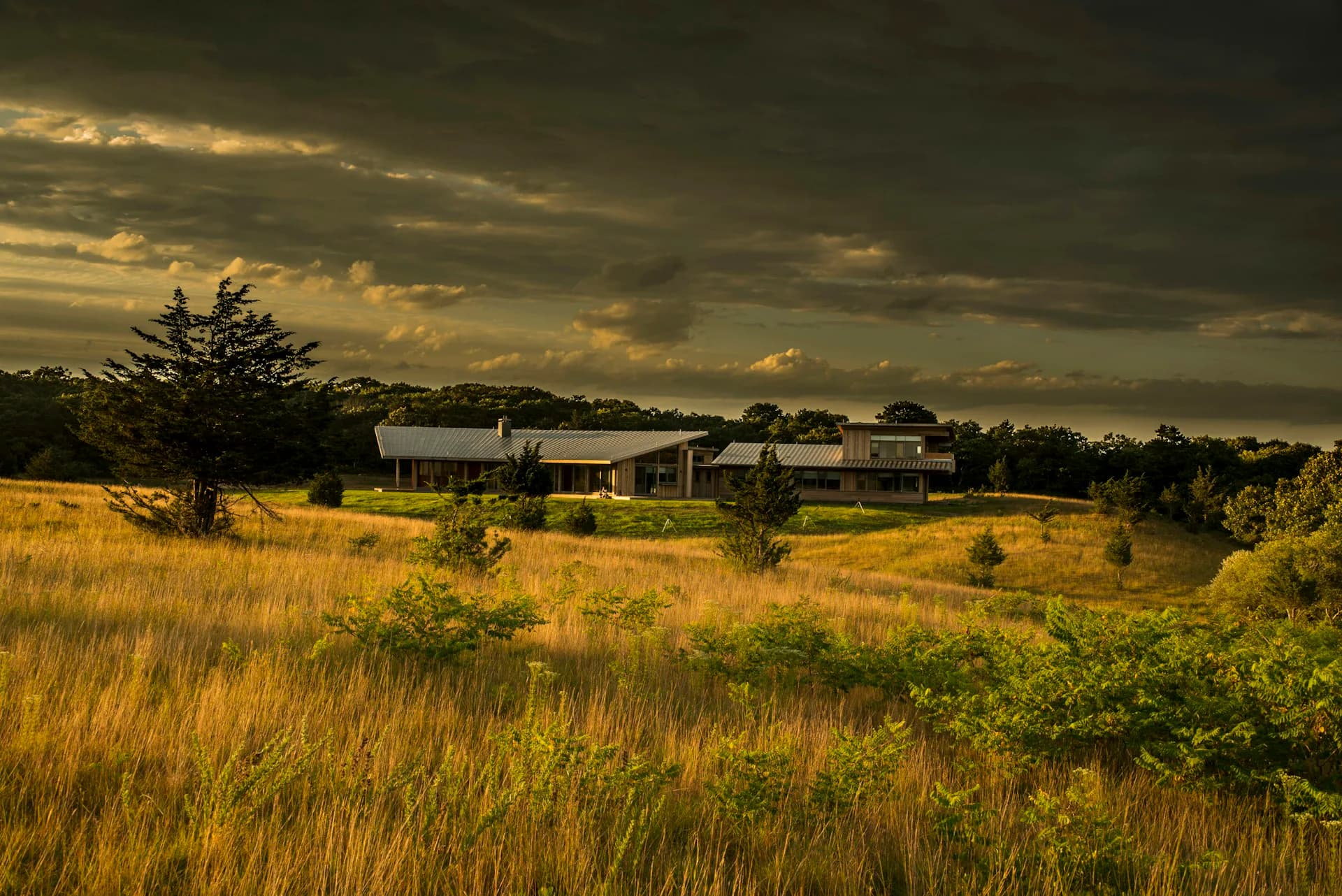 Rural residential building set in golden grassland under dramatic sky with scattered trees, designed by Robert Young Architects.