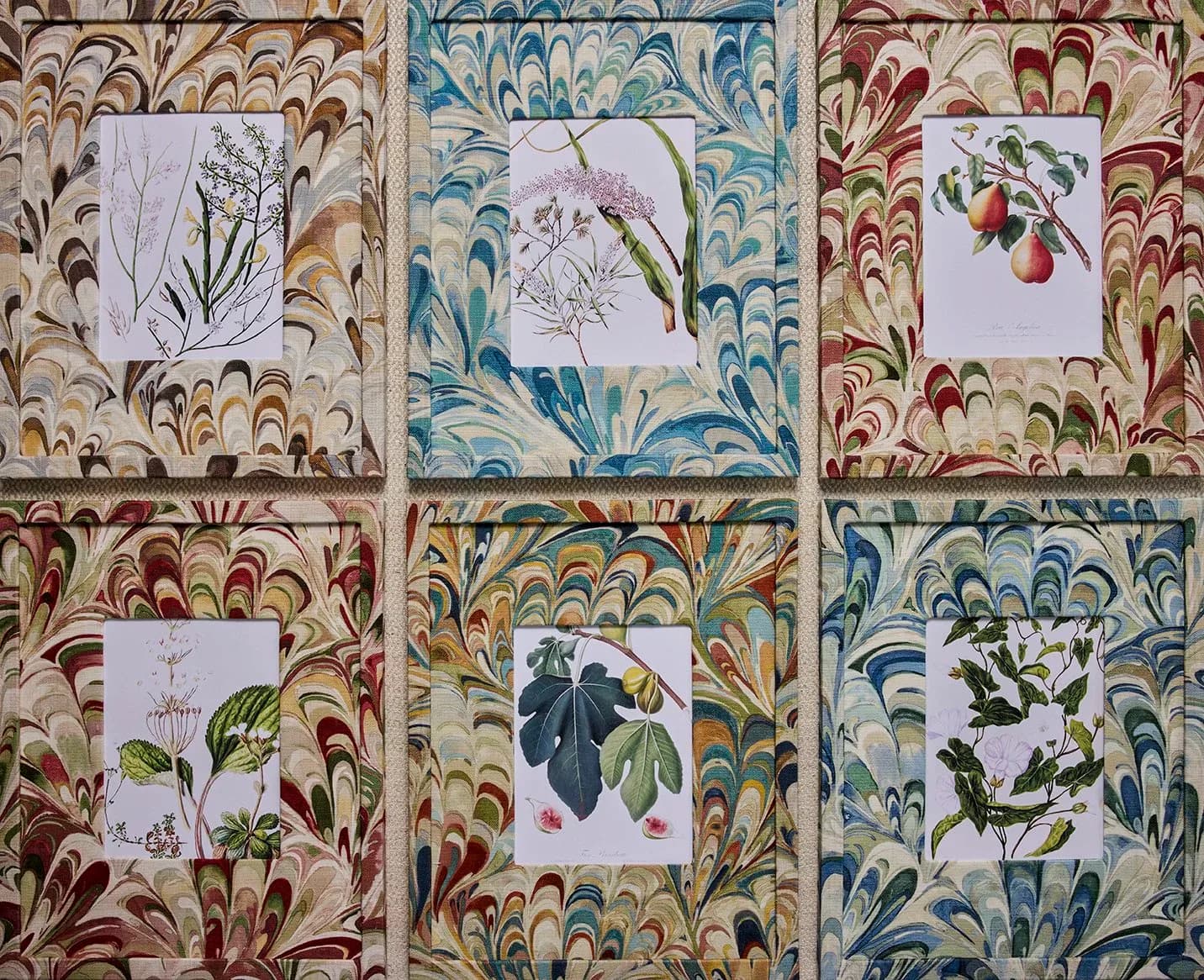 Six framed botanical illustrations on decorative patterned backgrounds in jewel tones and earth tones by Saint Malo Designs.