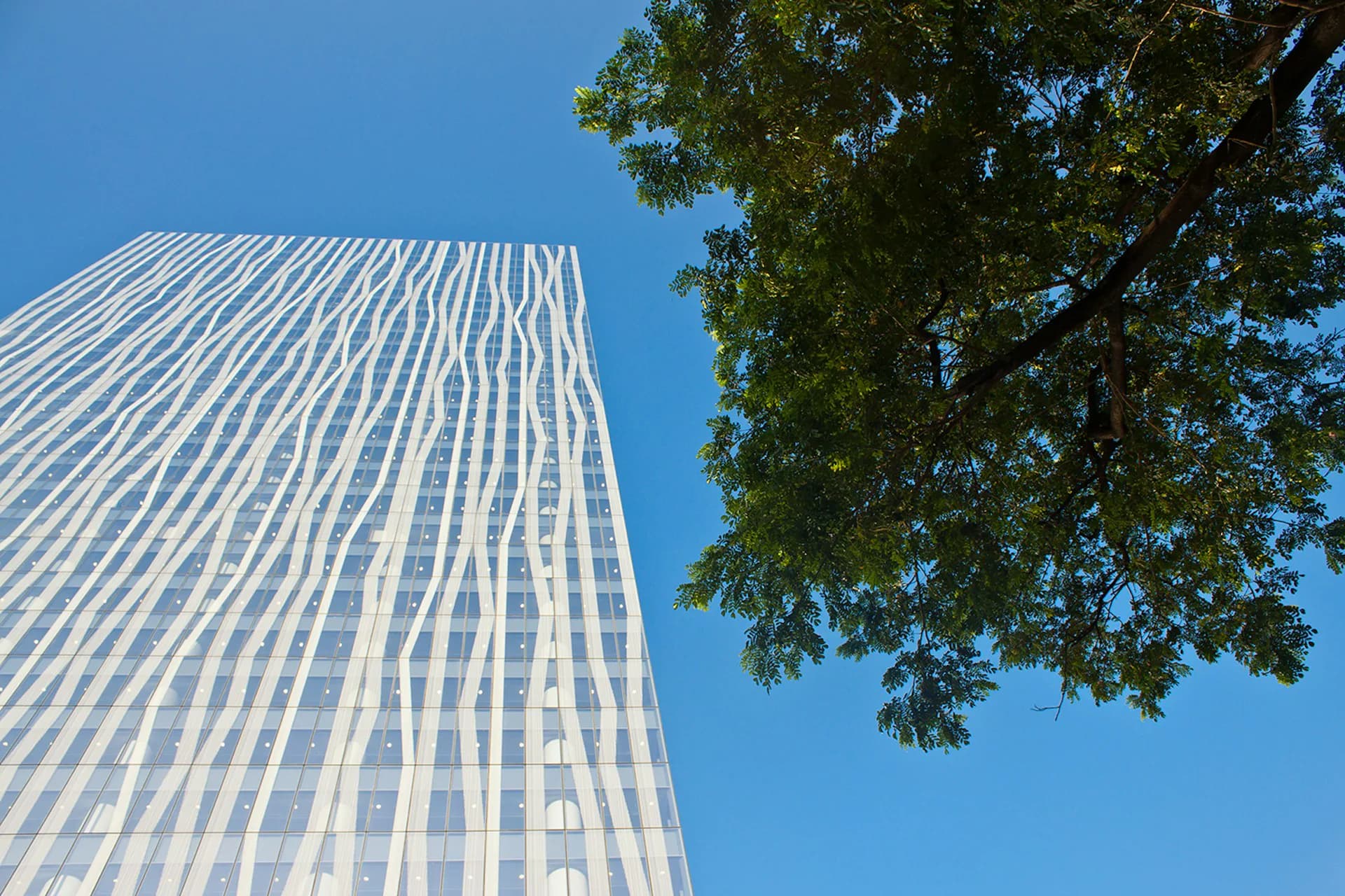 Modern skyscraper with vertical striped facade and clear blue sky, framed by green tree foliage, designed by Skidmore, Owings & Merrill (SOM).