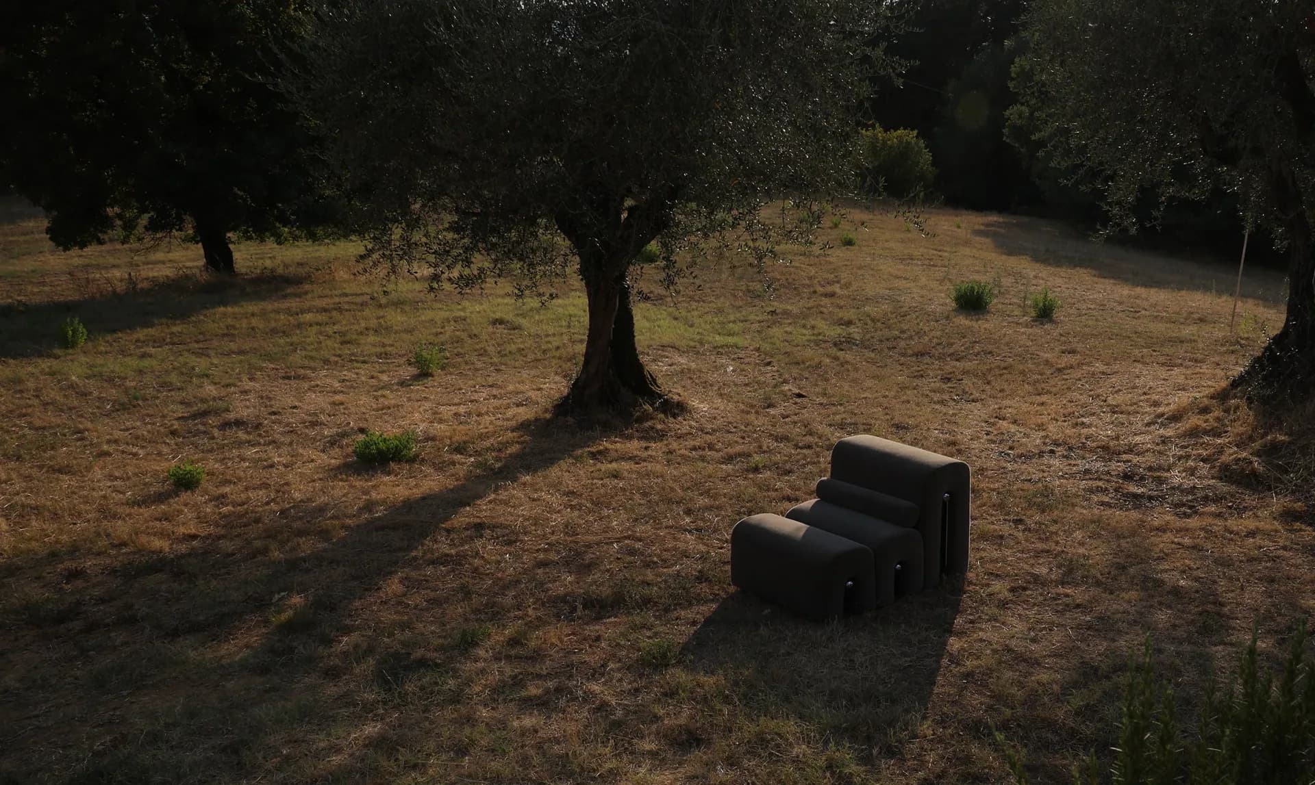Outdoor landscape installation featuring dark sculptural forms on dry grass beneath scattered trees, creating dramatic shadows by Soft Witness.