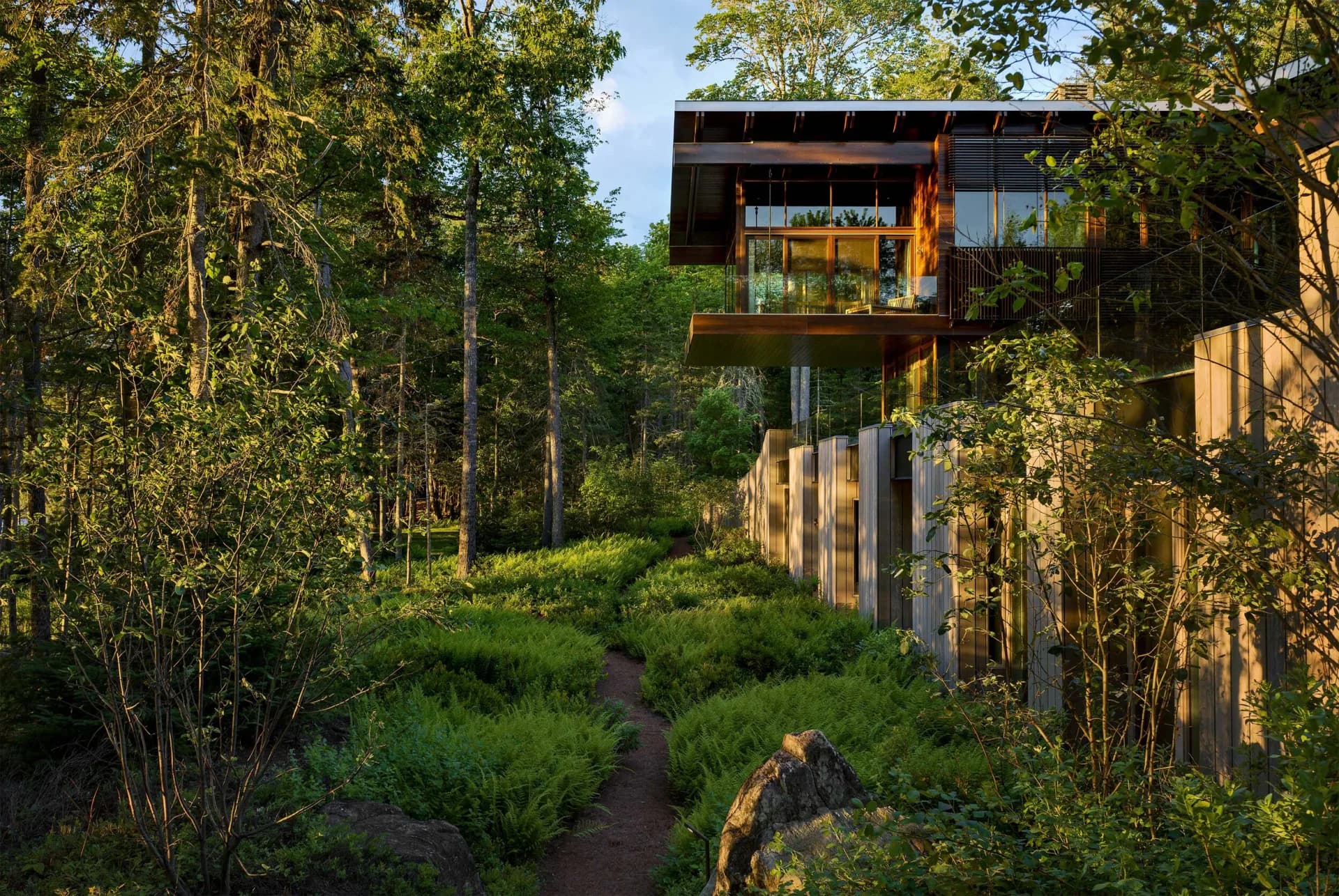 A modern elevated house with dark exterior and large windows nestled among tall trees along a forest path, designed by SPAN ARCHITECTS.