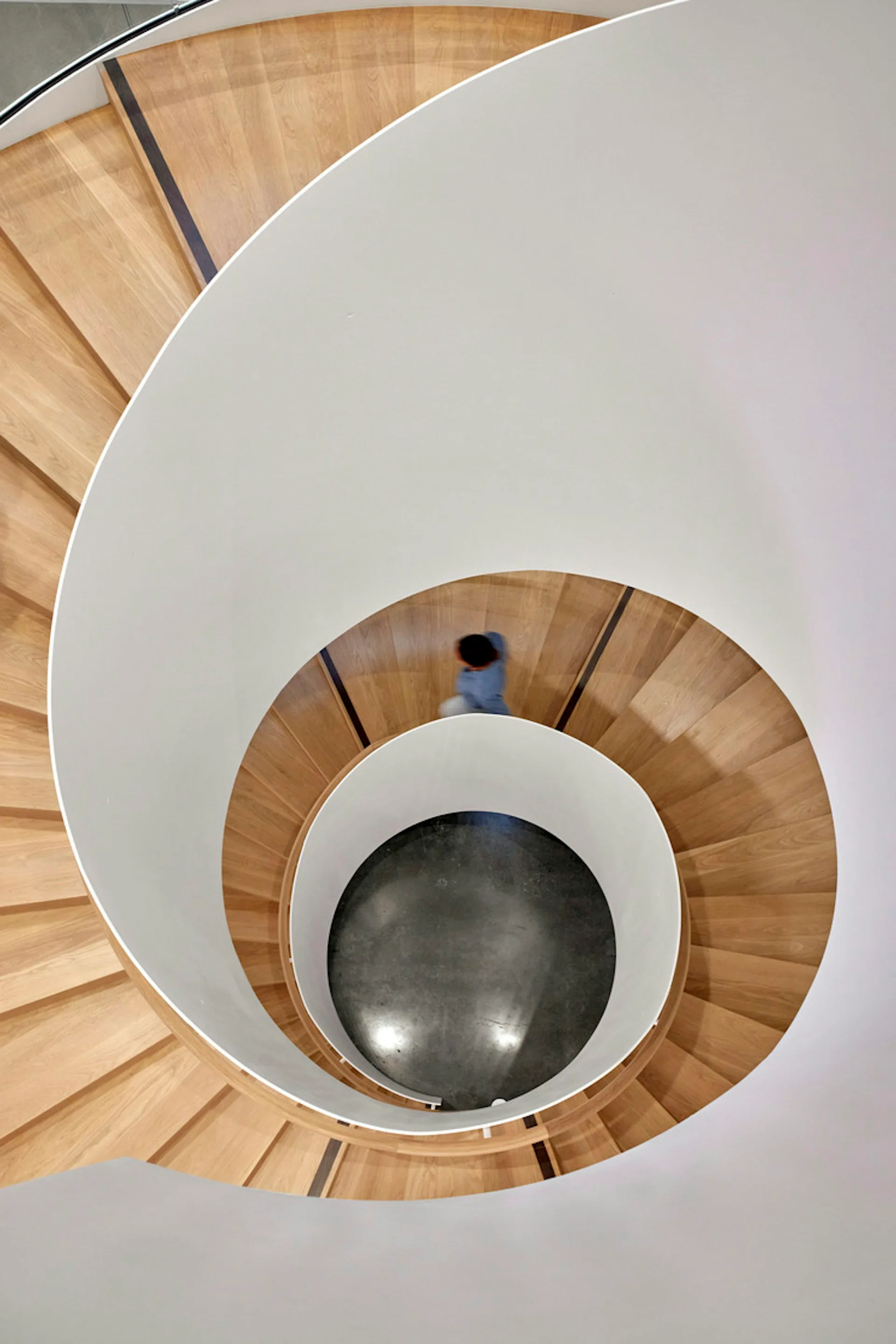 Spiral staircase with white walls and natural wood steps photographed from above, revealing concentric geometric patterns and a person descending, by STUDIOS Architecture.