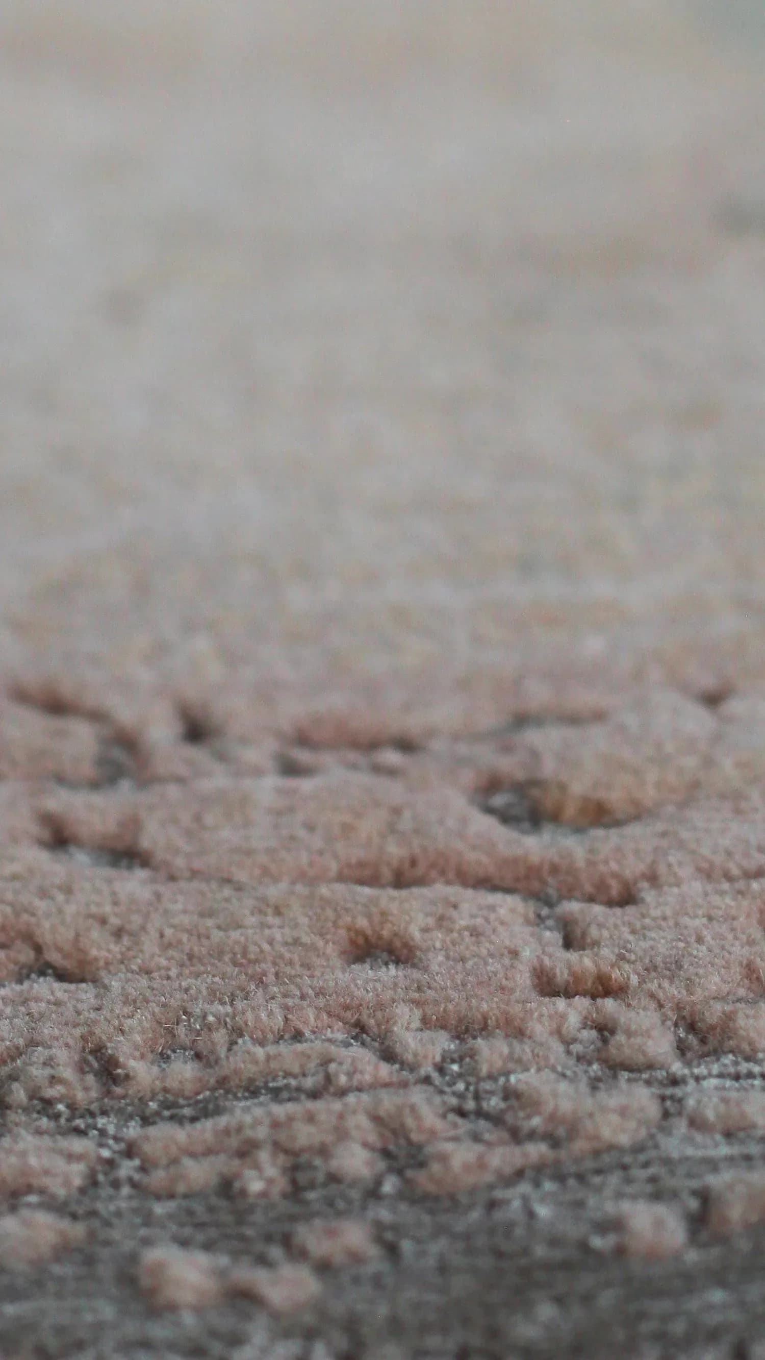 Close-up of textured sand-colored rug surface with subtle tonal variations and woven details by Temple Rugs.