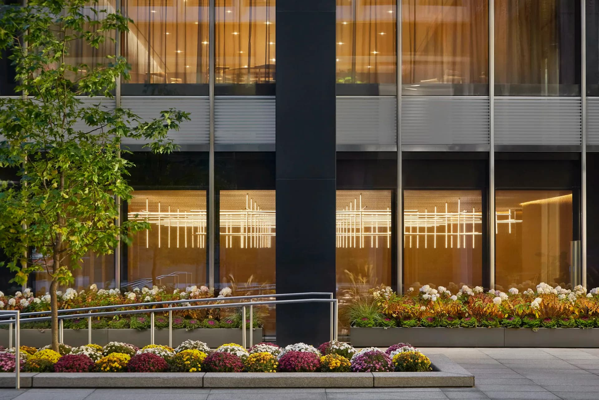 Modern building exterior with illuminated windows, black structural columns, and tiered planter beds with vibrant purple and yellow flowering plants by Tillotson Design Associates.