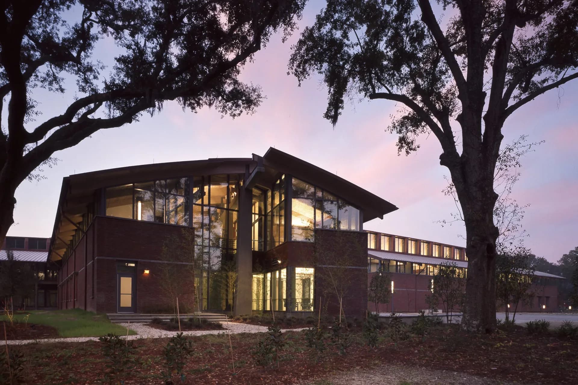 Modern brick building with large glass windows illuminated at dusk, framed by mature oak trees, designed by Tinmouth Chang Architects.