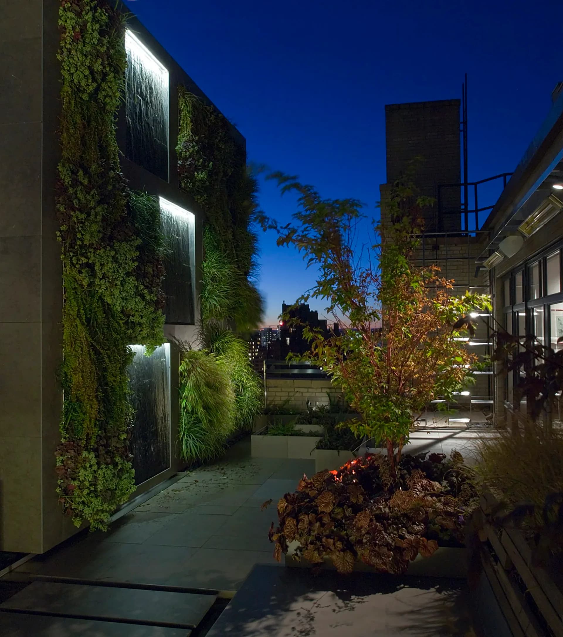 Twilight courtyard featuring illuminated green wall with three window openings, polished concrete flooring, and autumn plantings, designed by Tinmouth Chang Architects.